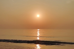 IMG_20230501_060123-1